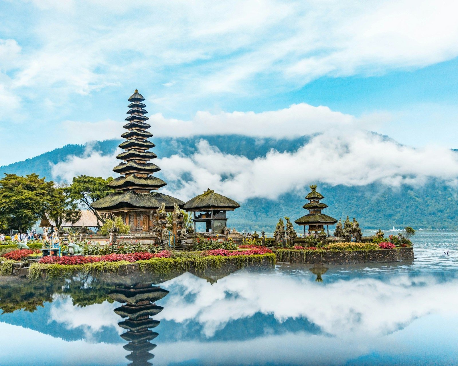 Bali temple and rice terraces